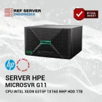 Server HPE MicroSvr G11 6315P 1x16G NHP HDD Svr 1TB- Indent 4-6 weeks - Image 2