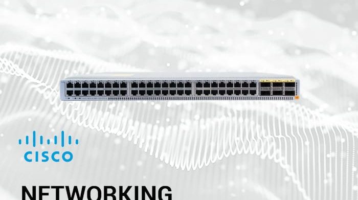 Picture_Networking_6